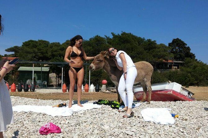 Blue Cave, Hvar and Five islands - Small-Group Tour From Split - Hvar: A Town Stop You Can Feel in a Few Hours