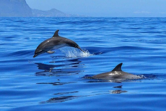 BLUE LAGON & 3 islands full day private speedboat tour - Quick, specific reasons this tour works