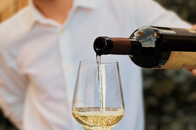 Dalmatian wine tasting by Bottiglia wine & deli - Price and Value in Split: Is $54.07 a Fair Deal?