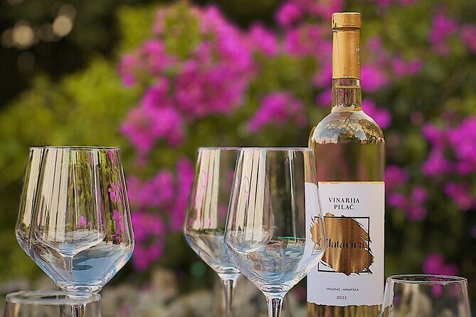 Dalmatian wine tasting by Bottiglia wine & deli - Should You Book Bottiglia’s Dalmatian Wine & Deli Tasting?