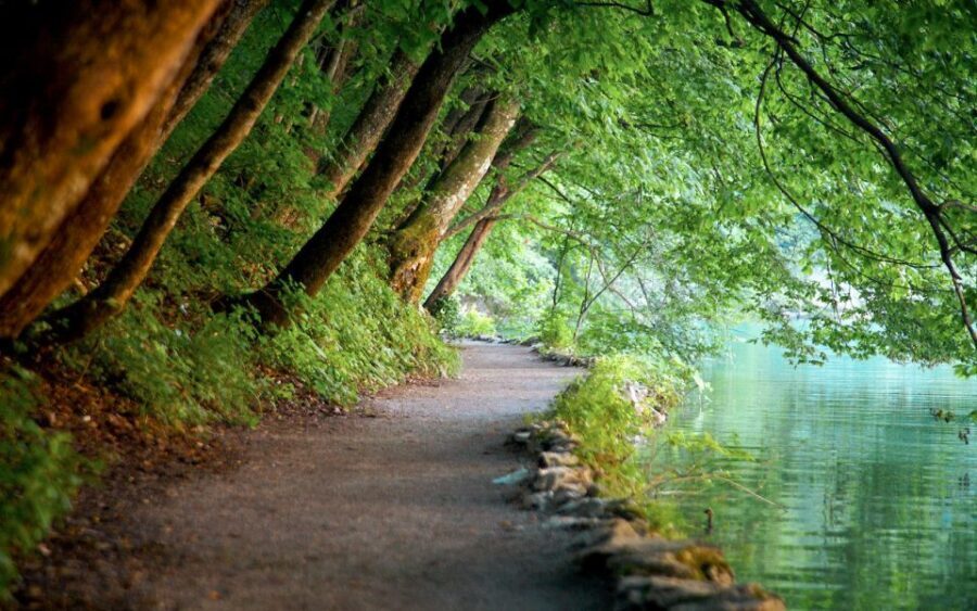 From Split or Trogir: Plitvice Lakes Guided Full-Day Tour - Split or Trogir Pickup: The Ride Sets the Mood