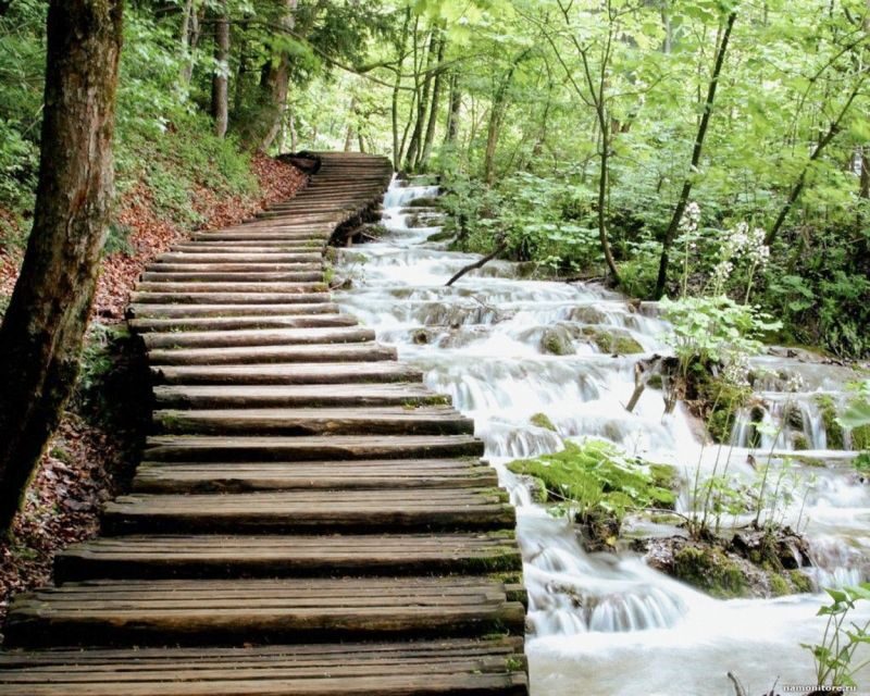 From Split or Trogir: Plitvice Lakes Guided Full-Day Tour - Where the Tour Really Wins: Kozjak Lake Boat Ride