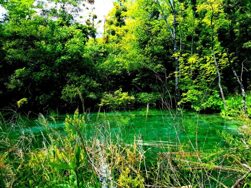 From Split: Plitvice Lakes Full-Day Trip - Trails, Boardwalks, and Wet Footing: Your Shoes Are the Real Ticket
