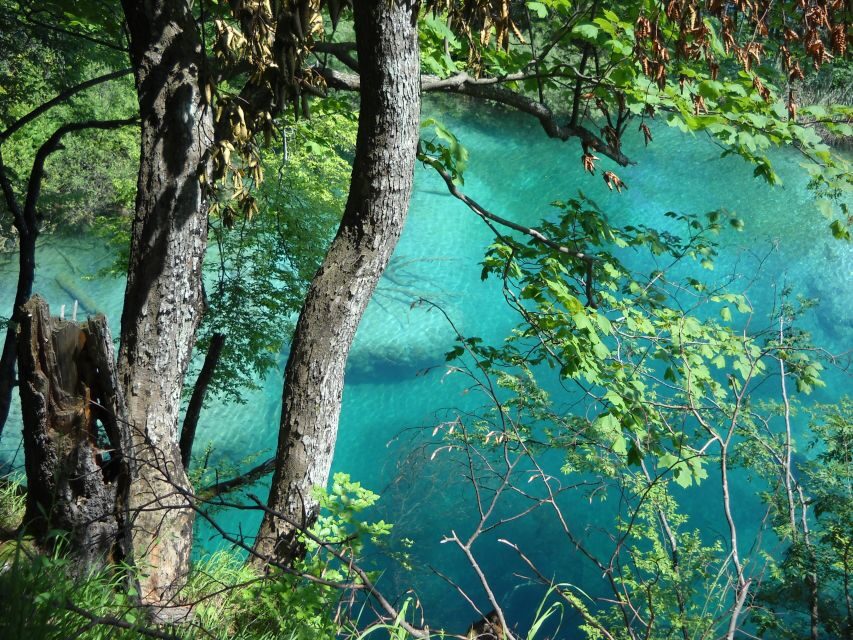 From Split: Plitvice Lakes Full-Day Trip - Time for Photos: How to Get the Best Views Without Burning the Day