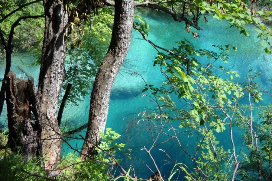 From Split: Plitvice Lakes Fully-Guided Day Tour - Key points worth your time