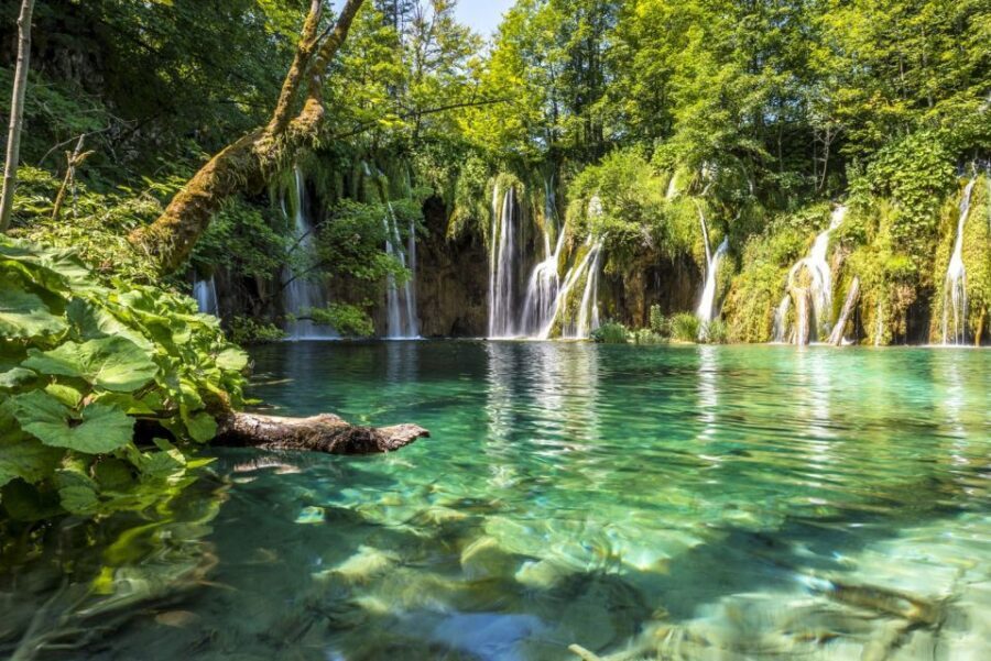 From Split: Plitvice Lakes Fully-Guided Day Tour - The bus ride and café stop: use it, don’t waste it