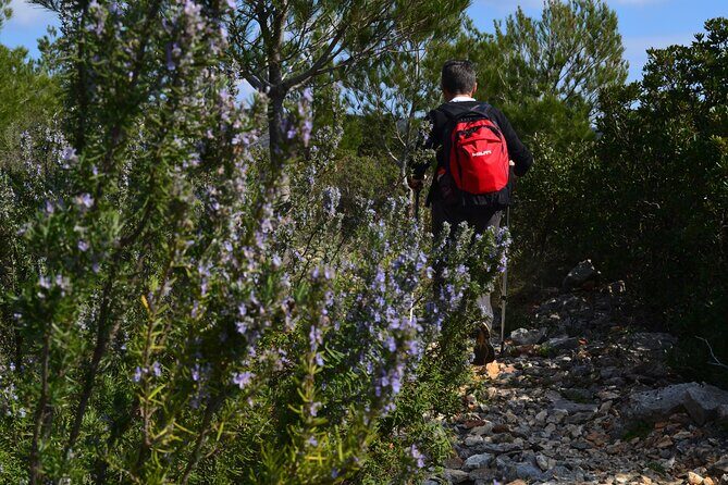 Hvar Lavender Tour - Key reasons this tour works