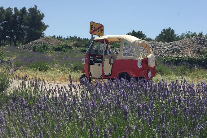 Hvar Private Walking Tour With A Professional Guide - Why a private 90-minute Hvar walk works so well
