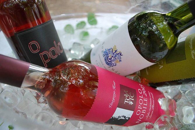 Hvar Wine tasting small group experience - At the Winery: Wine and Olive Oil Tasting in a Real Hvar Setting