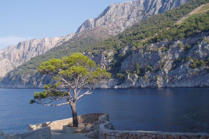 Mesmerizing Hvar speed boat tour with optional wine tasting - Green Lagoon Swim Stop: What You’ll Do in the Water