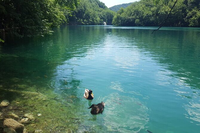 Plitvice Lakes Small Group Tour Ecco from Split or Trogir - Key Points to Know Before You Go