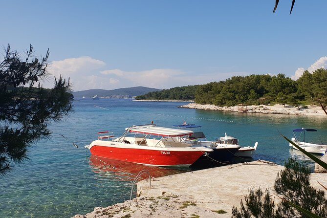 Private Custom Island Hopping Speedboat Tour from Hvar - Budikovac Blue Lagoon: Your Best “Just Swim” Hour