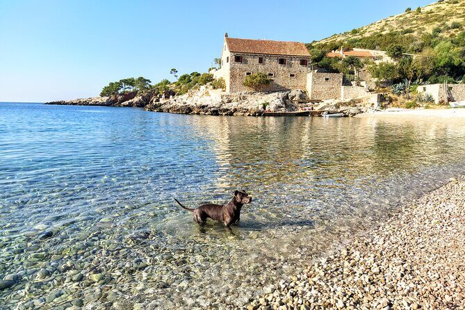 Private Speed Boat Tour of Hvar South Shore & Pakleni islands - Captains Who Adjust to Your Group: Nicolai and Johnny (Marino) Style
