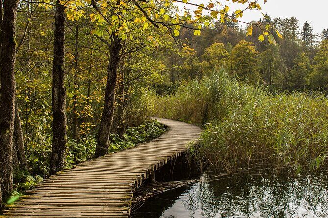 Private Tour to Plitvice Lakes National Park from Split - Entering Plitvice: what you’re set up to see