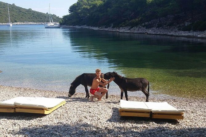 Red Rocks & Southern Side Of Hvar Private Tour - Quick take: what makes this Hvar boat day special