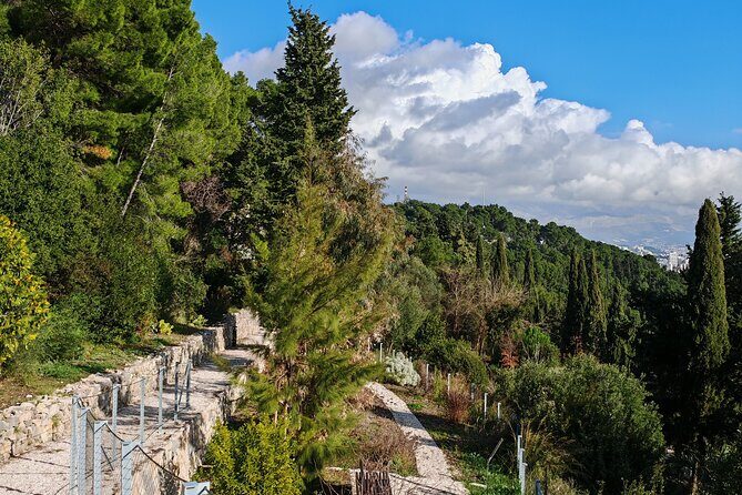 Secret Marjan Park Hiking Tour in Split - Marjan Park gives you the “above Split” view, fast
