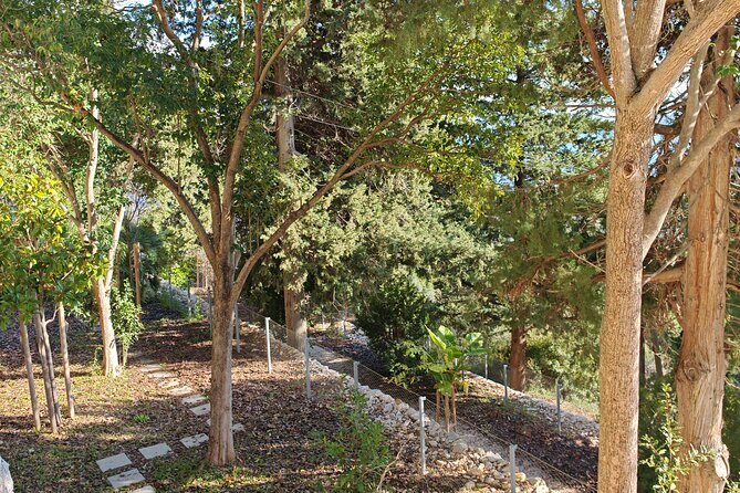 Secret Marjan Park Hiking Tour in Split - Who should book this Marjan Park hiking tour?