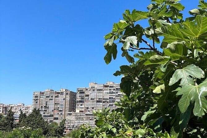 Secret Split: Socialist Architecture & brutalism - Urban Utopia - Why this tour feels different from the usual Split route