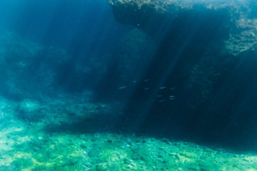 Split: 45-minute Semi-Submersible Submarine Trip - Underwater Watching Without Gear: Marine Life, Plants, and the Window-Spotting Game