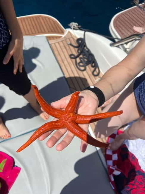 Split: 5 Islands Full-Day Tour to Blue Cave, Vis & Hvar - A Speedboat Day That Actually Feels Like You Have Time