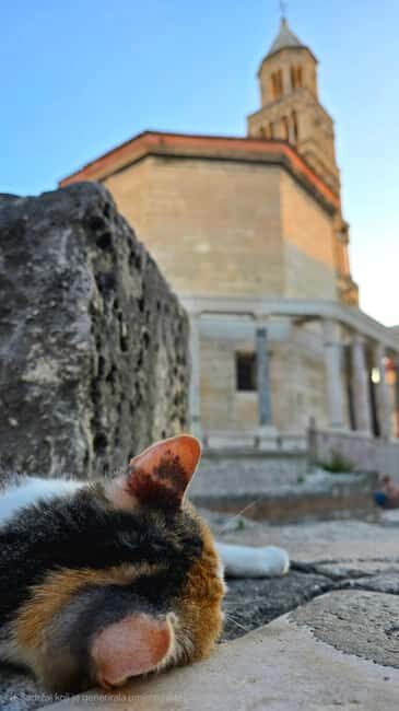 Split and Diocletian's Palace walking tour with a local guid - Diocletian’s Palace on Foot: Why This Walk Works