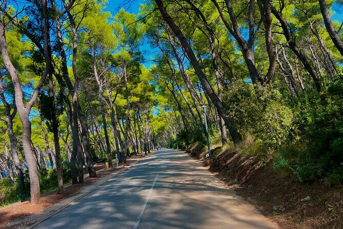 Split by Private Electric Rickshaw - Palace & Hidden Gems - Marjan Park and the beaches: the part that changes the day