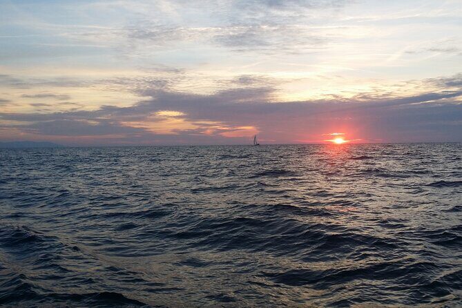 Split: Small-Group Half Day Sailing Trip - Key things to love about this Split sailing trip