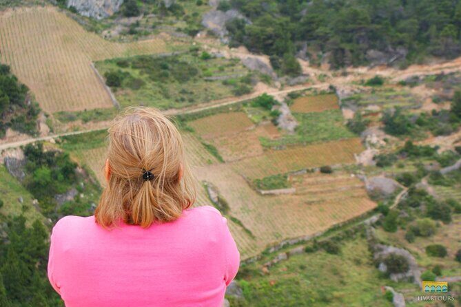 Twice the Wine - Two wineries half day tour, with delicacies - Price and value: what you’re paying for on a 4-hour Hvar wine tour