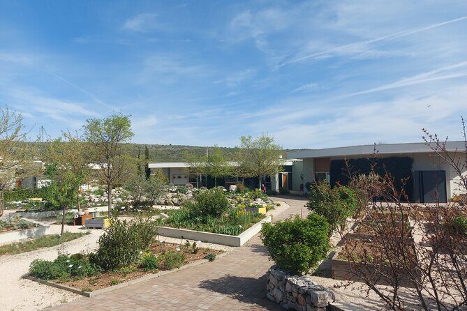Visit Ancient Salona, Mighty Klis Fortress and Stella Croatica - Stop 3: Stella Croatica’s family farm stop (olive oil, figs, and wine)