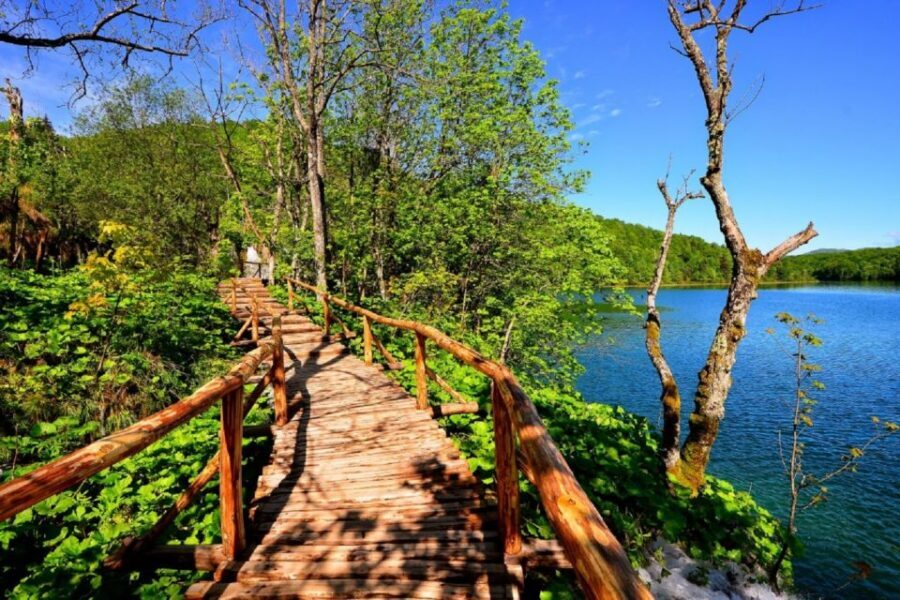 Zagreb to Split: Private Transfer with Plitvice Lakes - The van ride: comfort, timing, and how to use it